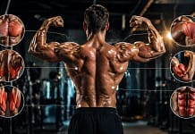 Koliko puta nedeljno trenirati mišiće za maksimalan rast koliko puta nedeljno trenirati misice za rast