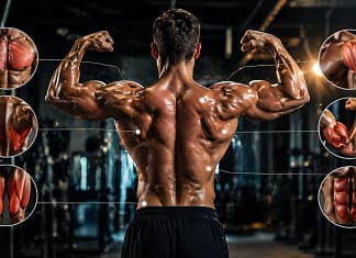 Koliko puta nedeljno trenirati mišiće za maksimalan rast koliko puta nedeljno trenirati misice za rast