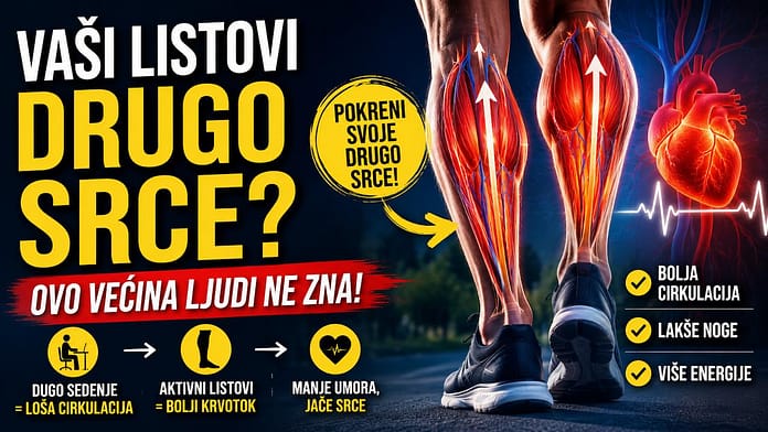 Kako listovi pomažu cirkulaciji i radu srca Listovi kao drugo srce i njihova uloga u cirkulaciji
