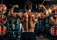 Koliko puta nedeljno trenirati mišiće za maksimalan rast koliko puta nedeljno trenirati misice za rast