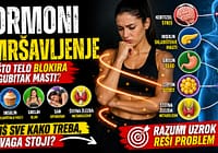 Hormoni i mršavljenje – zašto telo nekada blokira gubitak masti Hormoni i mršavljenje – uticaj metabolizma, stresa i insulina