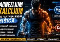 Zašto trening iscrpljuje telo – magnezijum, kalcijum i oporavak Magnezijum i kalcijum u treningu i oporavku mišića