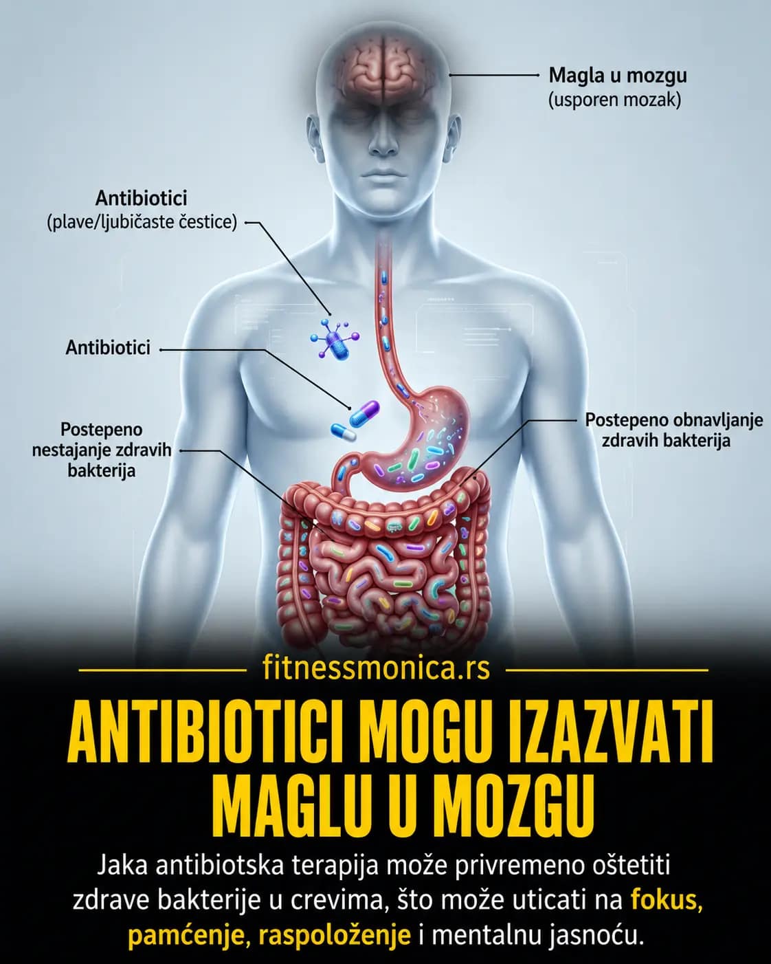 Antibiotici mogu uticati na crevnu floru i izazvati mentalni umor i brain fog