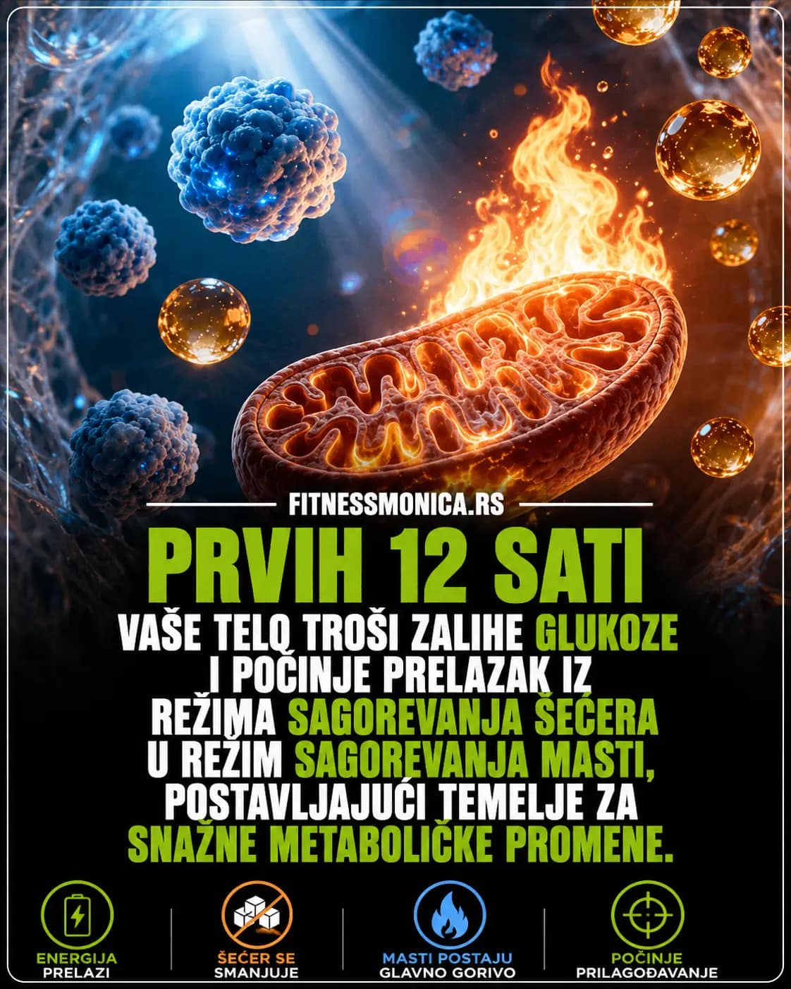 Prvih 12 sati posta i prelazak sa glukoze na sagorevanje masti