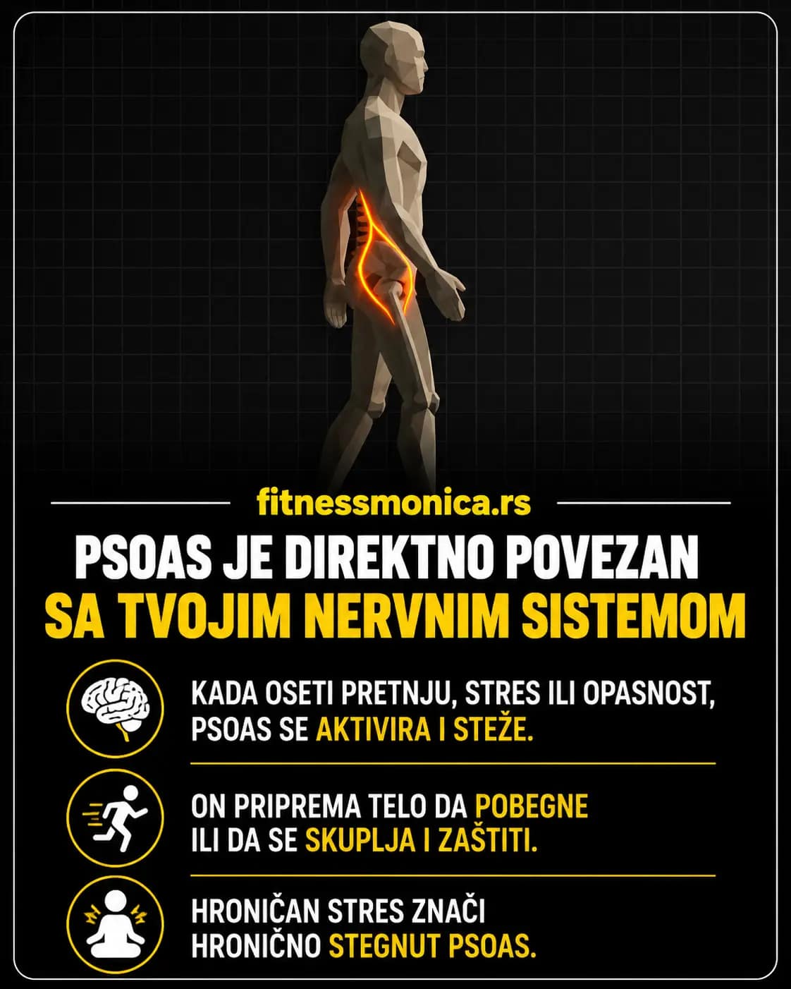 Psoas mišić povezan sa stresom i nervnim sistemom