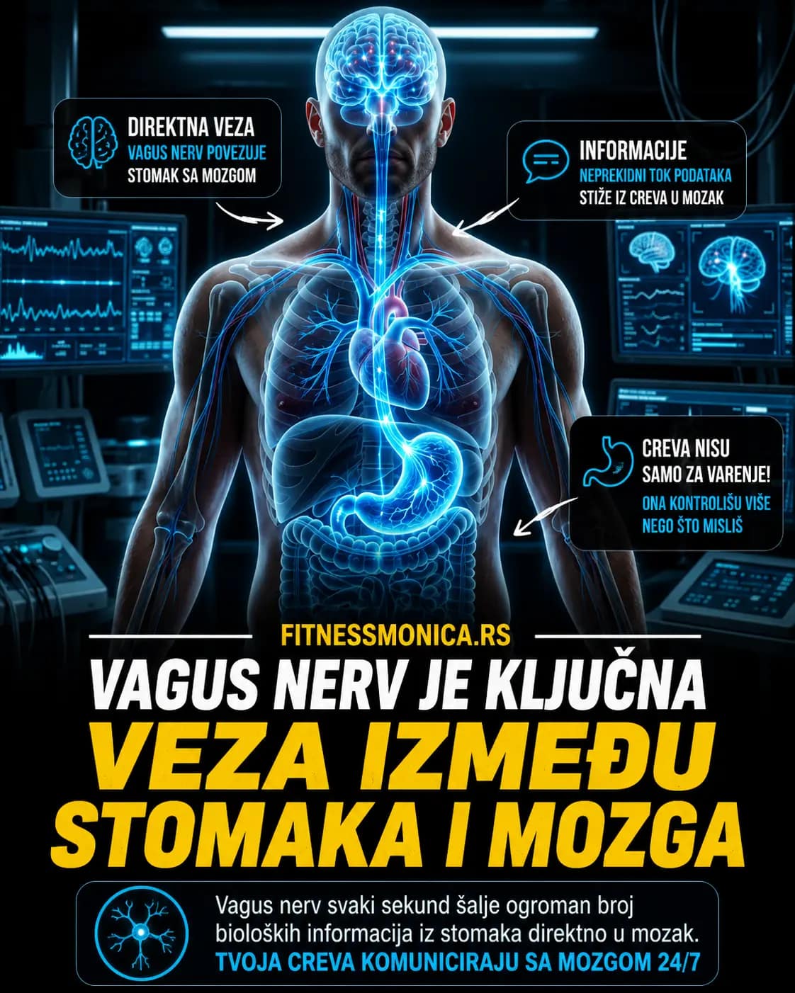 Vagus nerv povezuje stomak i mozak kroz nervni sistem i komunikaciju creva