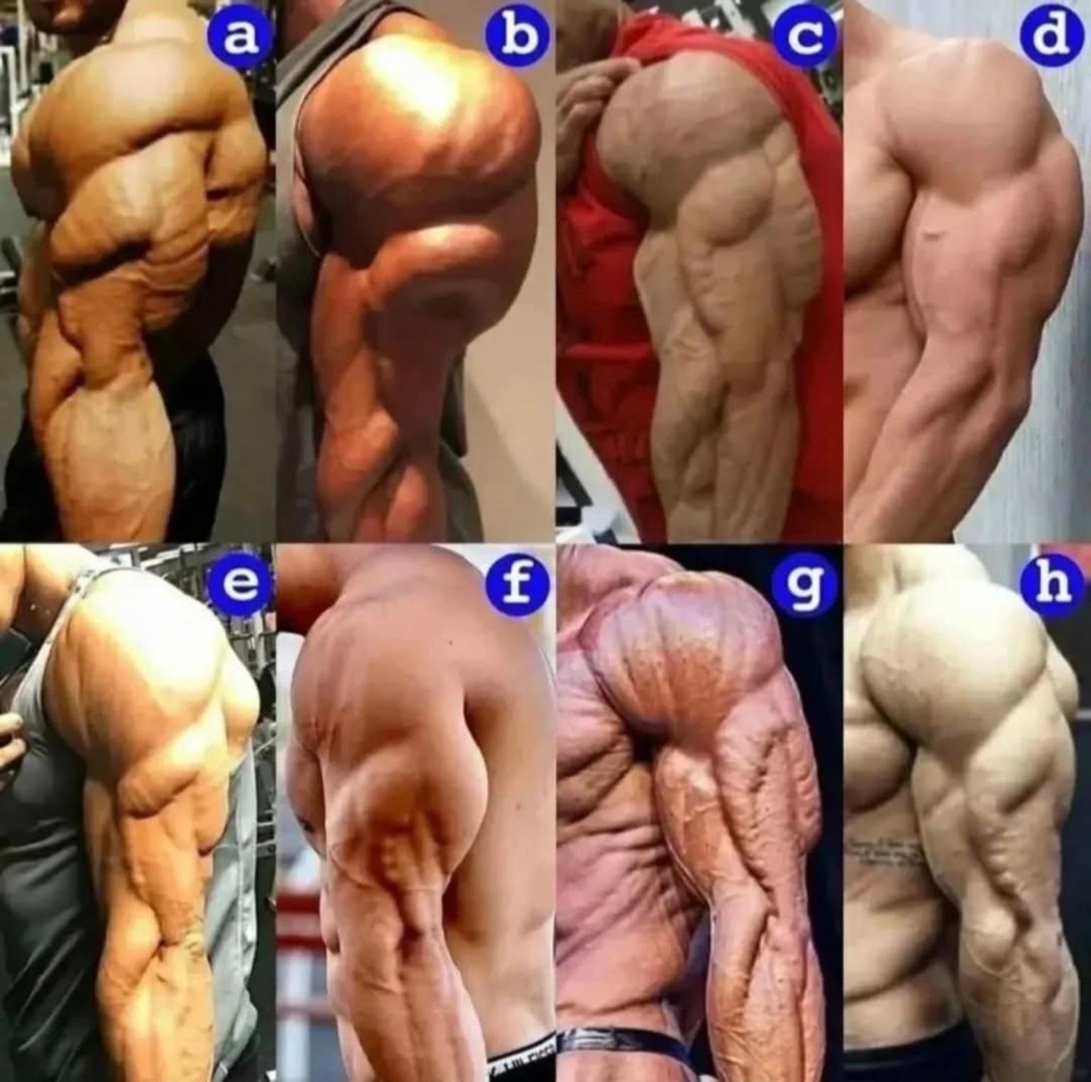 razliciti nivoi definicije ruku triceps i separacija misica