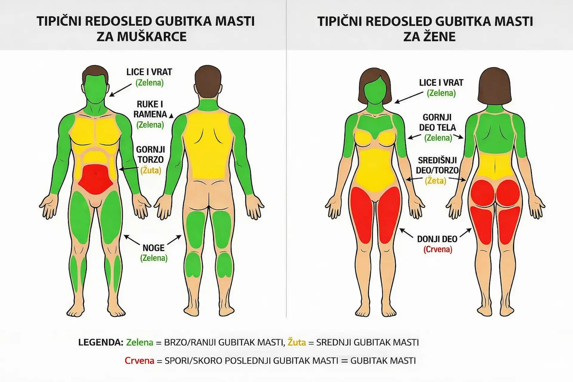 redosled gubitka masti kod muskaraca i zena stomak poslednji