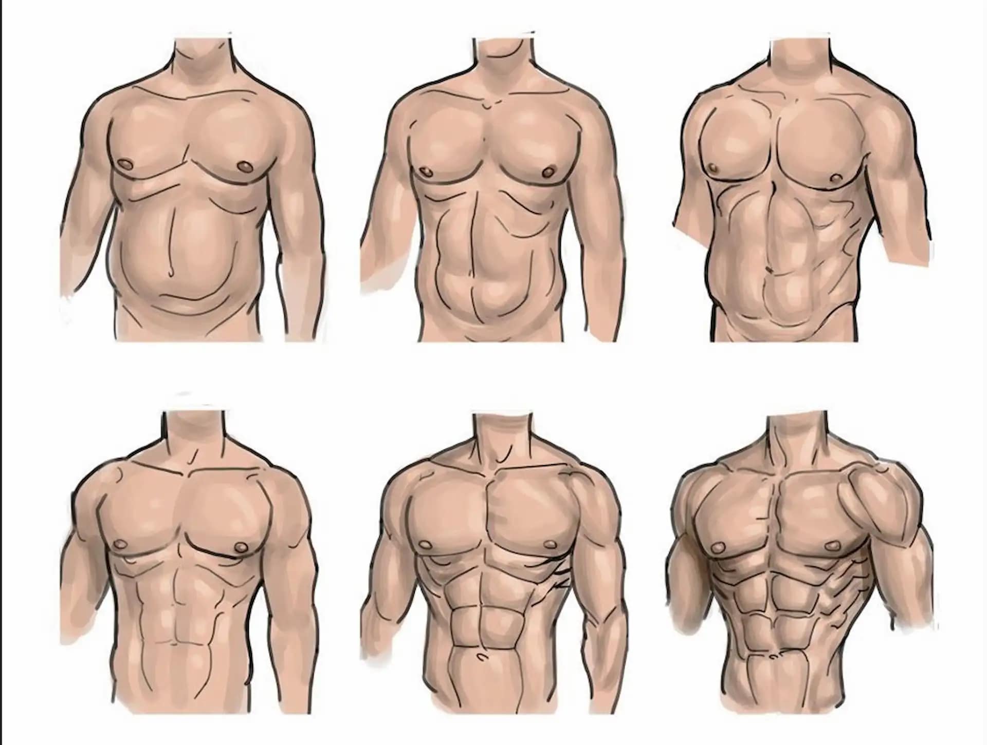 analiza rezultata mrsavljenja stomak napredak grafik i statistika