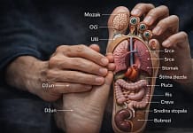 Masaža stopala i refleksologija: mit ili stvarno pomaže? masaza-stopala-refleksologija-mit-ili-pomaze