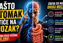 Zašto stomak utiče na mozak – serotonin, stres i creva Veza između creva i mozga - serotonin, stres i digestivni sistem
