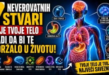 Tvoje telo svakog dana radi neverovatne stvari kako telo funkcioniše i štiti organizam svakog dana