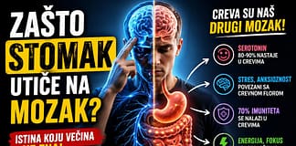 Zašto stomak utiče na mozak – serotonin, stres i creva Veza između creva i mozga - serotonin, stres i digestivni sistem