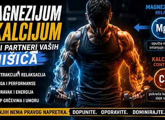 Zašto trening iscrpljuje telo – magnezijum, kalcijum i oporavak Magnezijum i kalcijum u treningu i oporavku mišića