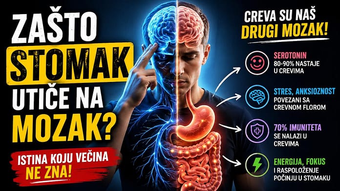 Creva i mozak - kako digestivni sistem utiče na telo i raspoloženje Veza između creva i mozga - serotonin, stres i digestivni sistem