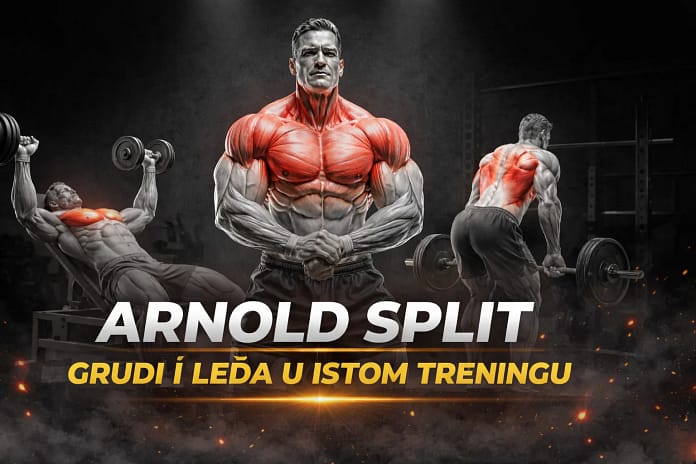 arnold-split-grudi-ledja-antagonisticki-trening-fitnessmonica arnold-split-grudi-ledja-antagonisticki-trening-fitnessmonica