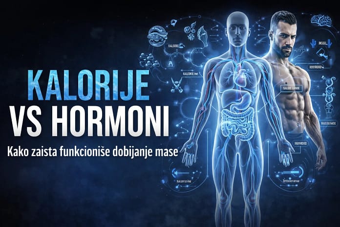 kalorije-vs-hormoni-dobijanje-mase-fitnessmonica kalorije-vs-hormoni-dobijanje-mase-fitnessmonica