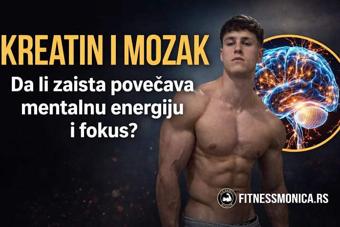kreatin-i-mozak-mentalna-energija-fitnessmonica kreatin-i-mozak-mentalna-energija-fitnessmonica
