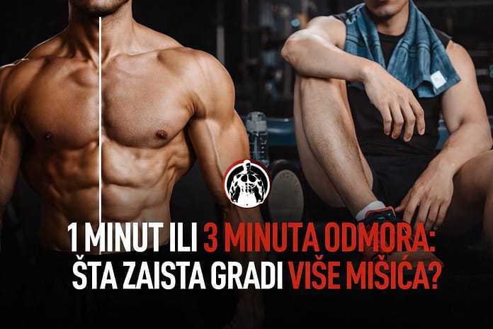 1-minut-ili-3-minuta-odmora-sta-gradi-vise-misica-fitnessmonica 1 minut ili 3 minuta odmora – šta zaista gradi više mišića? (Naučno objašnjenje)