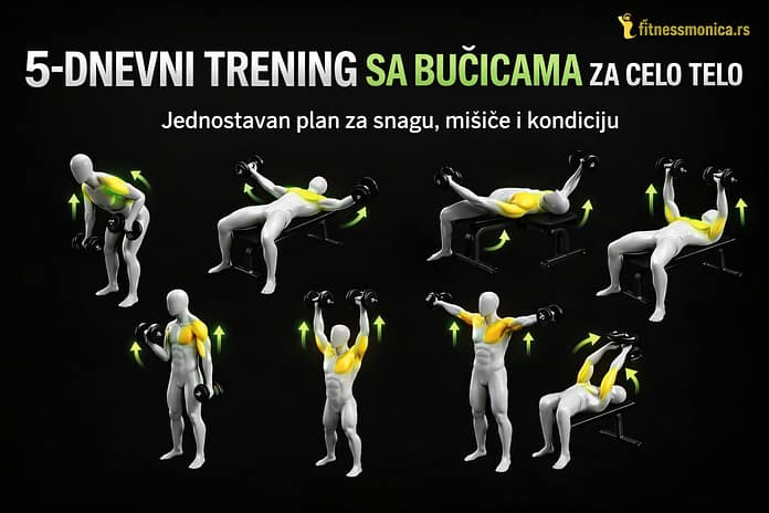 5 day dumbbell workout plan 5 dnevni trening sa bučicama plan vežbi za celo telo