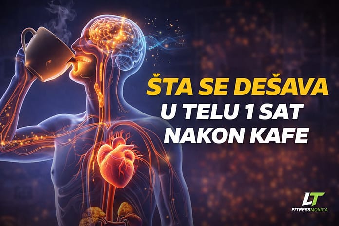 efekti kafe na telo u prvih sat vremena šta se dešava u telu nakon što popijete kafu